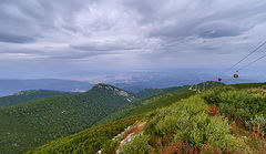 photo "***"
