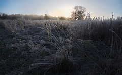 photo "***"