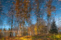 photo "***"