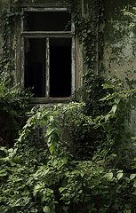 photo "***"