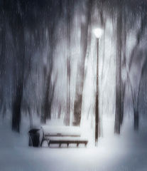 photo "***"