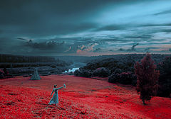 photo "Insomnia"
