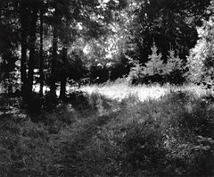 photo "***"