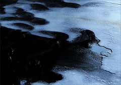 photo "***"