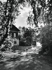 photo "***"