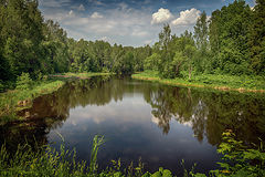 photo "***"