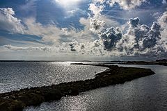 photo "Oyster Pond"