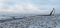 photo "Waiting for big water. Late autumn travelers of the bay"