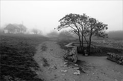 photo "***"