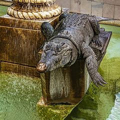 фото "Крокодилы Нима 2"