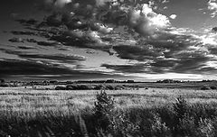 photo "***"