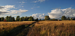photo "***"