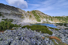 photo "***"