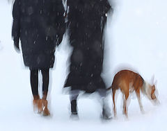 фото "winter promenade"