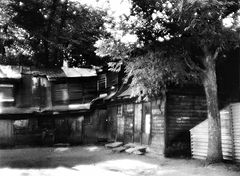 photo "***"
