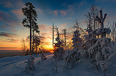 фото "Утренний свет"