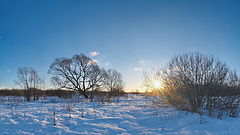photo "***"