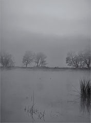 photo "***"