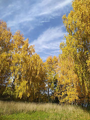 фото "Лазурь и золото"