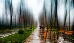 фото "street"