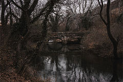 photo "***"