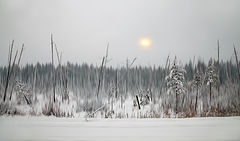 photo "***"