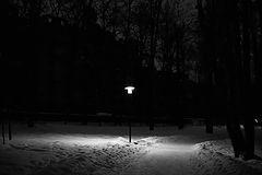 фото "Ночь, парк, фонарь..."