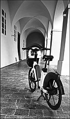 photo "Велосипед и аркада"