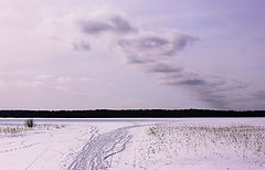 photo "***"