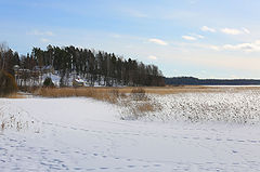photo "***"
