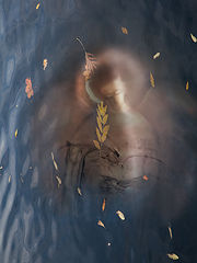 photo "***"