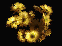 photo "***"