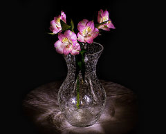 photo "***"