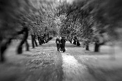 photo "***"