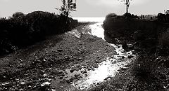 photo "***"