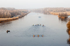 фото "В морозной дымке."