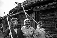 фото "1974 г. Прокопьевка. Сенокос 1."