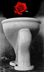 фото "El sueño de Tina Modotti en excusado (por Edward Weston 1925)"