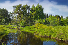 фото "На Вязьме"