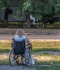 фото "У каждого свои колёса..."