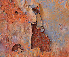 photo "***"