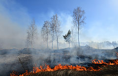 фото "Весенние пожары"