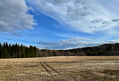photo "***"
