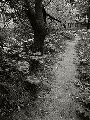 photo "***"