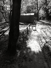 photo "***"