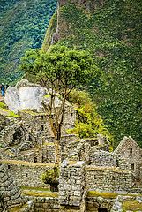 photo "Machu Piсchu 5"