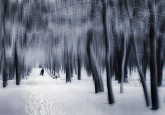 photo "***"