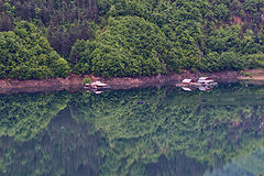 photo "***"