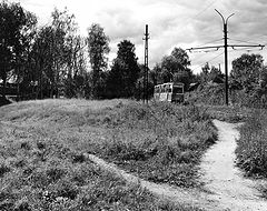 photo "***"