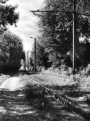 photo "***"